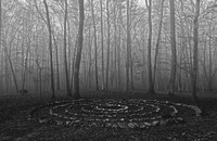 Labyrinth in Fog [Film]