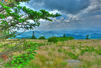 The View from Roan Mtn.